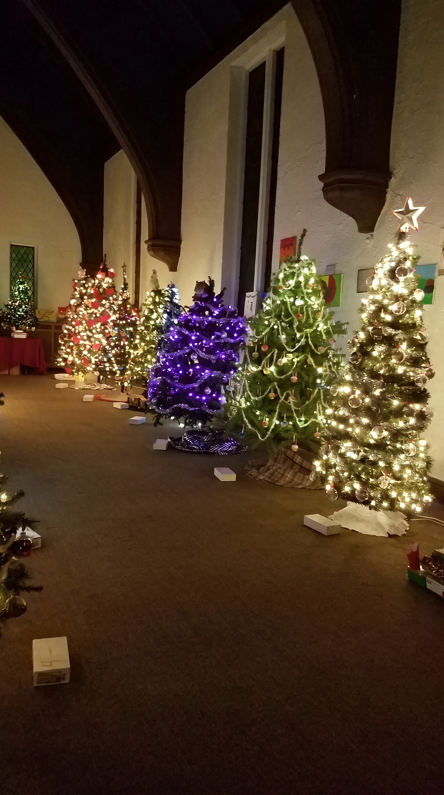 A welcoming row of illuminated festival trees